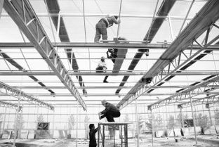 敦煌戈壁添新綠 最大智能化溫室開工建設(shè)，科技賦能現(xiàn)代農(nóng)業(yè)新篇章